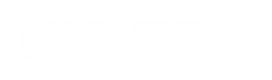 THE FIELD